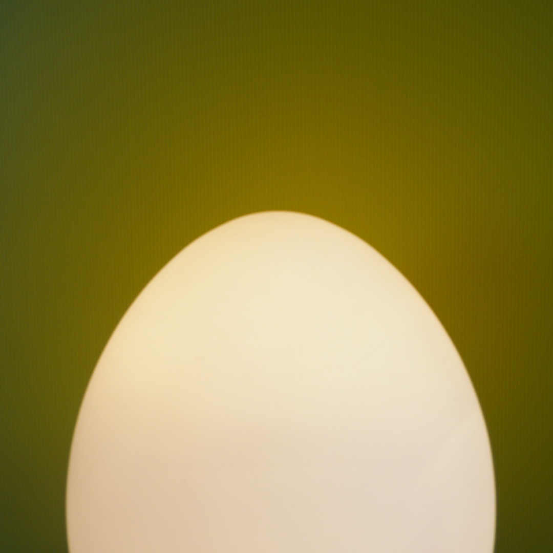 Unkown Dali Egg Lamp