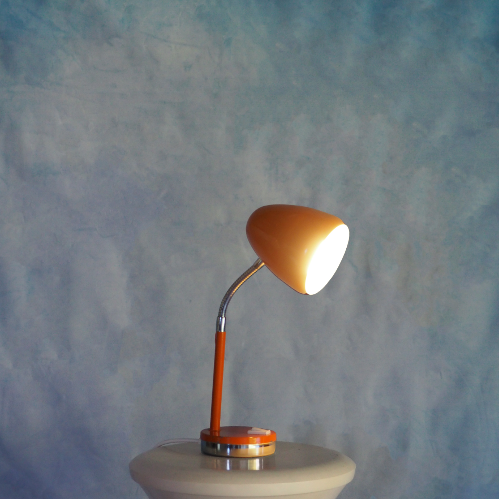 Leftover Loves Gooseneck Desk Lamp